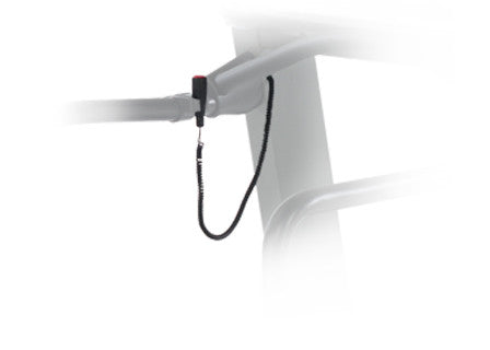 Hand-Held Remote Stop-Start Switch – Landice Online Store